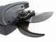 Zanon Shark ZS50 - S&eacute;cateur &eacute;lectrique de taille sur perche - 50.4V 2.9 Ah - 255 cm