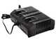 Taille-haie &agrave; batterie Worx Nitro WG286E - 2x 20V 2Ah - lamier 60 cm en acier