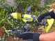 RYOBI RY18HCA-0  - Motobineuse à batterie - 18V - SANS BATTERIE ET SANS CHARGEUR
