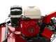 Ginko TT790 - Tondeuse d&eacute;broussailleuse professionelle &agrave; couteaux - Moteur Honda GX270