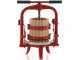 Baesso F15 - Pressoir &agrave; vis pour fruits et l&eacute;gumes 6 L &ndash; Cage en bois