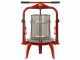 Baesso F25 Inox -Pressoir &agrave; vis pour fruits et l&eacute;gumes 20 L &ndash; Cage en acier inoxydable