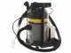 Lavor GBP 20 - Aspirateur injecteur/extracteur nettoyeur moquettes tissus tapisseries