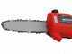 Einhell GC-EC 7520 T - &Eacute;lagueuse &eacute;lectrique sur perche t&eacute;lescopique