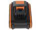 WORX WG384E - Tron&ccedil;onneuse &agrave; batterie 2 x 20V 2Ah - Guide 35 cm