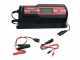 Helvi Discovery 250 - Chargeur de batterie et mainteneur de charge automatique - 12/24V