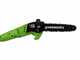 Greenworks GD40PSHK2 - Perche &eacute;lagueuse/Taille-haie sur perche de rallonge - 2 x 2Ah 40V