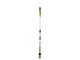 Greenworks GD40PSHK2 - Perche &eacute;lagueuse/Taille-haie sur perche de rallonge - 2 x 2Ah 40V