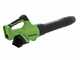 Greenworks GD40AB - Souffleur axial &agrave; batterie - 4 Ah 40 V