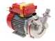 Rover Novax 30-M &ndash; Pompe &eacute;lectrique de transfert en alliage anticorrosion &ndash; Monophas&eacute;e &ndash; 230 V
