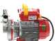 Rover Novax 30-M &ndash; Pompe &eacute;lectrique de transfert en alliage anticorrosion &ndash; Monophas&eacute;e &ndash; 230 V