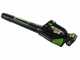 Greenworks GD48AB - Souffleur &agrave; batterie axial - 48 V / 4 Ah