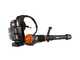 Worx Nitro WG572E - Souffleur &agrave; dos &agrave; batterie - 4x20V/4Ah