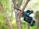 Makita DUC150ZJ LXT - &Eacute;lagueuse manuelle &agrave; batterie - 18V - SANS BATTERIE NI CHARGEUR