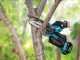 Makita DUC150ZJ LXT - &Eacute;lagueuse manuelle &agrave; batterie - 18V - SANS BATTERIE NI CHARGEUR