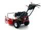 Blue Bird LM 715 PRO - Tondeuse thermique - Largeur de coupe 71 cm