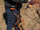 Stocker Magma E-35TP - S&eacute;cateur &eacute;lectrique de taille - Diam&egrave;tre de coupe 25 mm - 21.6V - SANS BATTERIE
