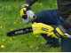 Ryobi RY36PP25A-0 - &Eacute;lagueuse &agrave; batterie sur perche - Guide de 25cm - MAX POWER 36V 2Ah