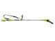 Ryobi RY36PP25A-0 - &Eacute;lagueuse &agrave; batterie sur perche - Guide de 25cm - MAX POWER 36V 2Ah