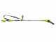 Ryobi RY36PP25A-0 - &Eacute;lagueuse &agrave; batterie sur perche - Guide de 25cm - MAX POWER 36V 2Ah