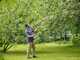 Fiskars Light UP69 - Coupe-branches sur longue perche orientable - &Oslash;&nbsp;12&nbsp;mm