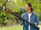 Bosch AdvancedPrune 18V-45 - S&eacute;cateur de taille &eacute;lectrique sur perche - 18V - 2Ah