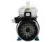 Tellarini EEM 25 - Pompe &eacute;lectrique de transfert en laiton - Monophas&eacute; - 230V