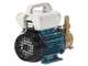 Tellarini EEM 20L - Pompe de transfert en laiton - Monophas&eacute; - 230V