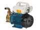 Tellarini EEM 20L - Pompe de transfert en laiton - Monophas&eacute; - 230V