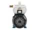 Tellarini EEM 20L - Pompe de transfert en laiton - Monophas&eacute; - 230V