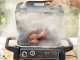 Ninja Woodfire OG701EU - Barbecue &eacute;lectrique avec fumoir et friteuse &agrave; air