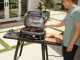 Ninja Woodfire Pro XL OG901EU - Barbecue &eacute;l&eacute;ctrique avec fumeur