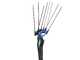 Campagnola MASTER PLUG-IN -  Peigne vibreur &eacute;lectrique 200/250 cm &agrave; batterie au lithium 21.6V 5 Ah - Perche telescopic en carbone et aluminium