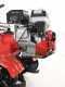 Motobineuse AgriEuro Premium-Line Agri 102, moteur &agrave; essence Honda GX 200