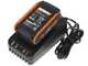 Worx Nitro WG325E - &Eacute;lagueuse sur batterie + perche de rallonge - 20V/2Ah