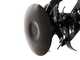 Italian Power RG 3.6-75Q-Z - Motobineuse &agrave; essence 7 CV - Moteur Rato R210