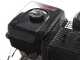 Italian Power RG 7.2-130Q-Z - Motobineuse &agrave; essence 15 CV - Moteur Rato R420