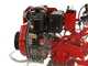 Diesse DS 84 - Motobineuse diesel 10,5 CV -  Vulcan 418 cm3 avec d&eacute;marrage &eacute;lectrique