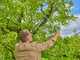 Gardena EasyCut L - Coupe-branches Bypass - longueur 67cm