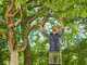 Gardena EnergyCut Pro S - Coupe-branches Bypass - Longueur 60cm