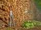 Gardena EnergyCut Pro S - Coupe-branches Bypass - Longueur 60cm