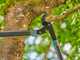 Gardena EnergyCut Pro L - Coupe-branches &agrave; enclume - Longueur 75cm