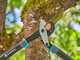 Gardena EnergyCut Pro L - Coupe-branches &agrave; enclume - Longueur 75cm