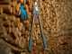 Gardena EnergyCut Pro L - Coupe-branches &agrave; enclume - Longueur 75cm