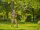 Gardena StarCut Pro S - Coupe-branches sur perche fixe de 160cm - &Oslash; 32 mm
