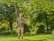 Gardena StarCut Pro S - Coupe-branches sur perche fixe de 160cm - &Oslash; 32 mm