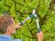 Gardena EasyCut S - Coupe-branches Bypass - Longueur 50cm