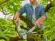 Gardena EasyCut S - Coupe-branches Bypass - Longueur 50cm