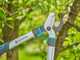 Gardena EasyCut S - Coupe-branches Bypass - Longueur 50cm