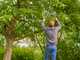 Gardena TeleCut Pro S - Coupe-branches Bypass T&eacute;lescopique - Longueur 52/67cm